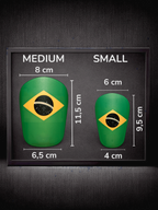 Brazil FlagGuard