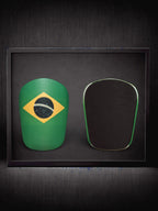 Brazil FlagGuard